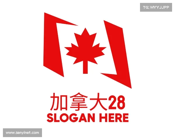 解读加拿大28